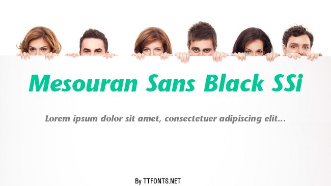 Mesouran Sans Black SSi example